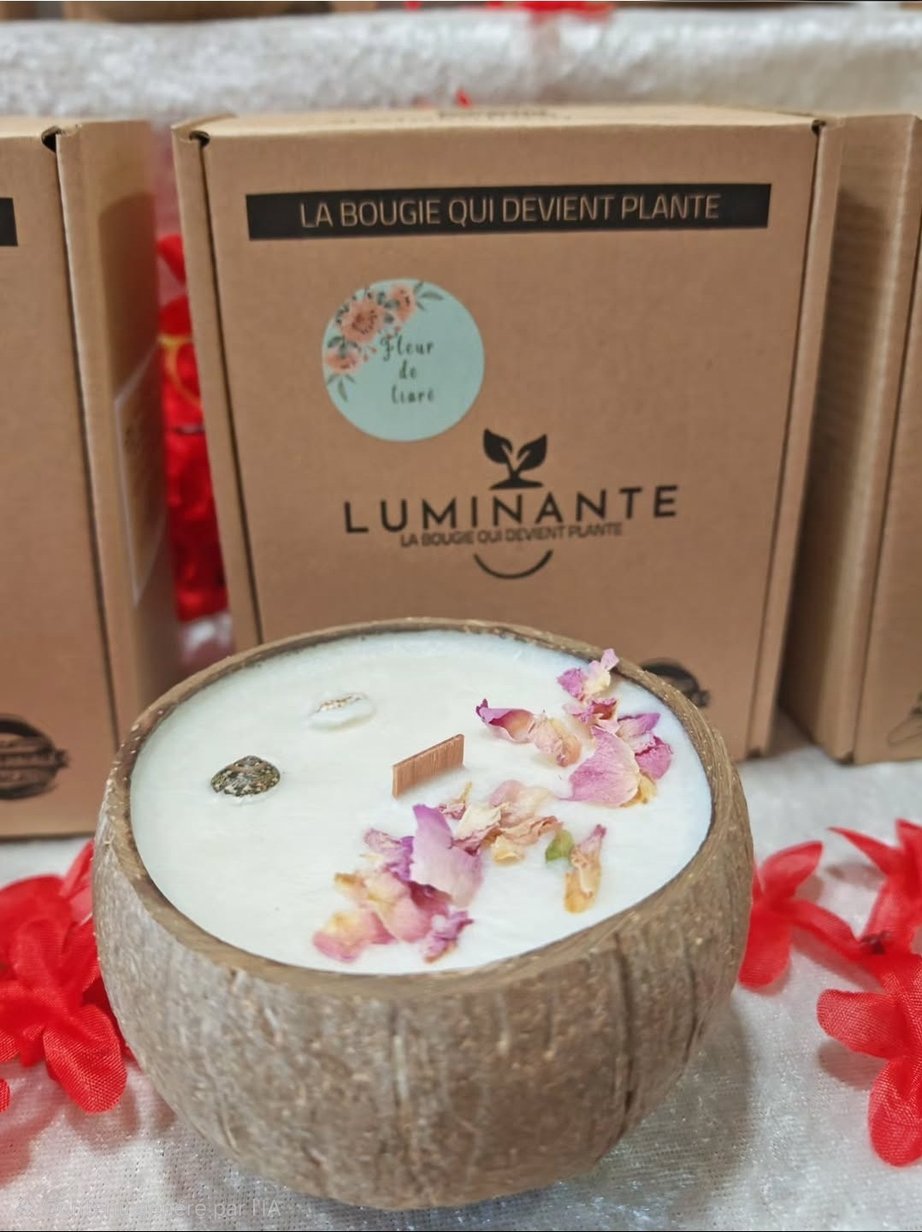 Candela In Cocco Che Diventa Pianta Fiore Di Tiaré Con Kit Semi - immagine 6
