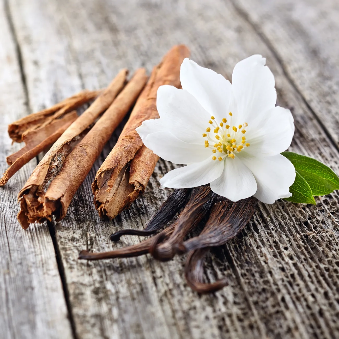 Candela Piantabile Vaniglia Con Kit Semi Sorpresa E Terriccio - immagine 4