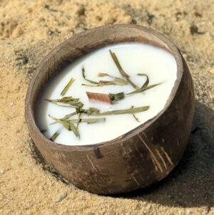 La Candela Che Diventa Pianta Verbena E Menta In Cocco