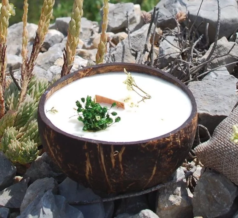 La Candela Che Diventa Pianta Verbena E Menta In Cocco - immagine 7