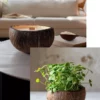 La candela che diventa pianta Legno di Oud modello "coco"