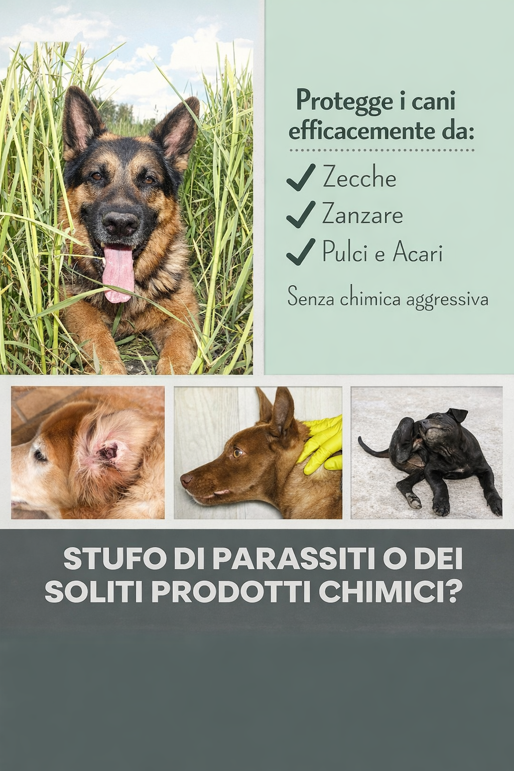 Zspray per cani contro zecche, pulci, acari e zanzare - immagine 3