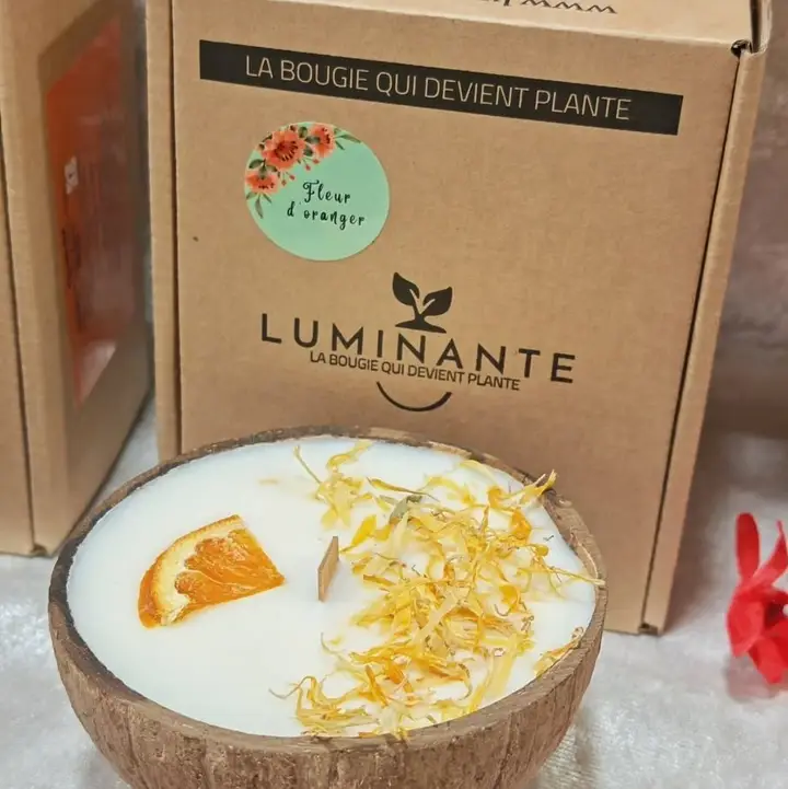 La candela che diventa pianta - Fiore d’arancio - immagine 3
