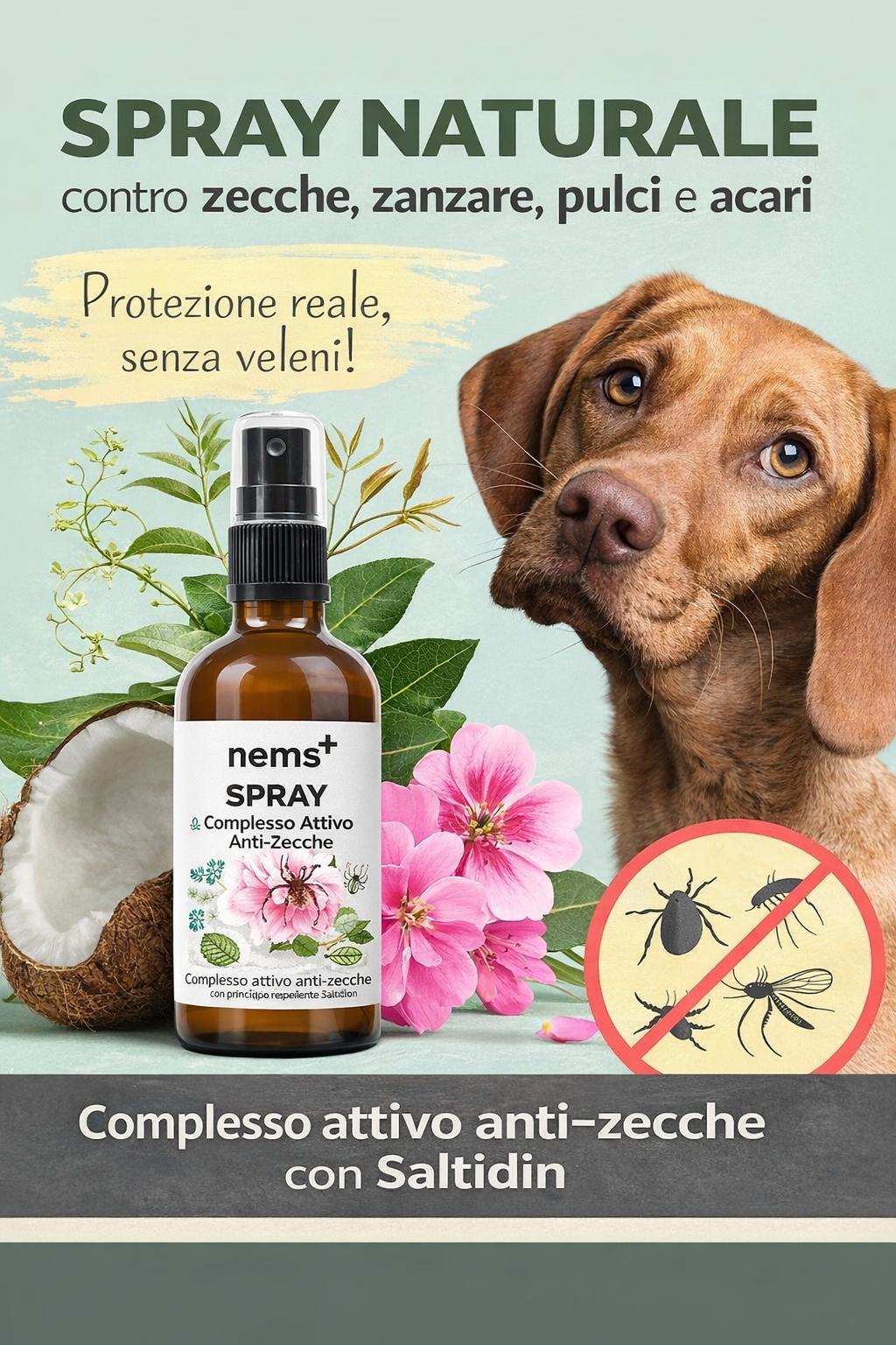 Zspray per cani contro zecche, pulci, acari e zanzare - immagine 2