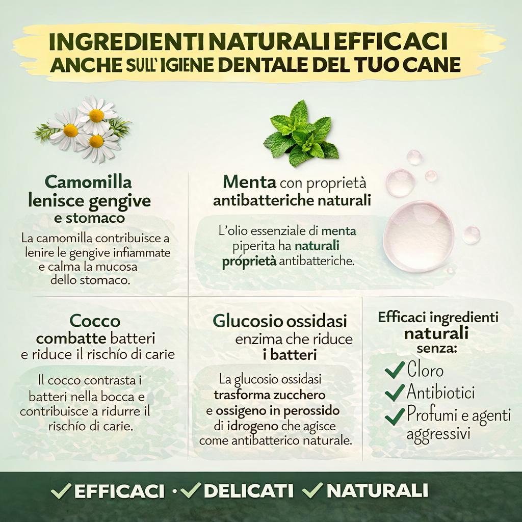Enzymodent: dentifricio enzimatico per cani con formula naturale per cura e prevenzione - immagine 3