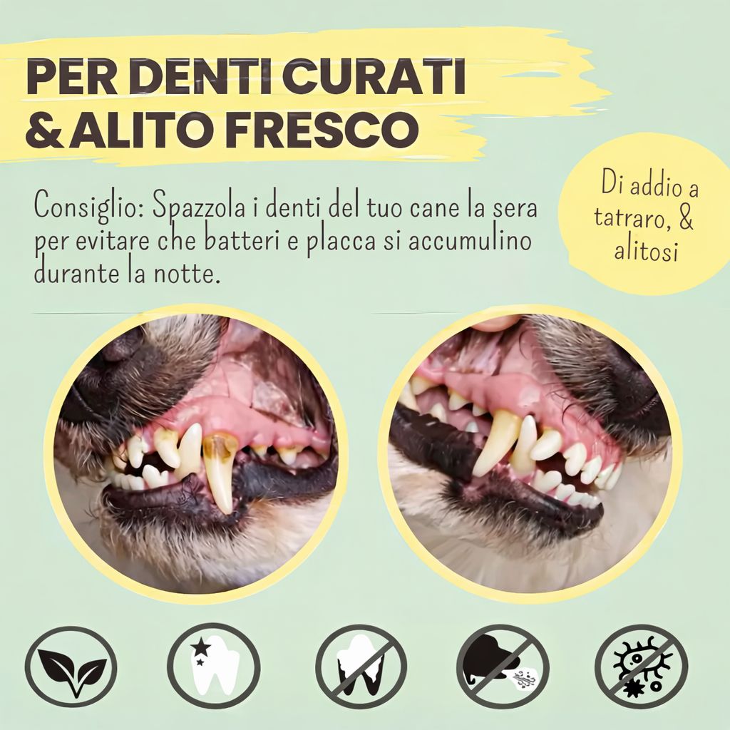 Enzymodent: dentifricio enzimatico per cani con formula naturale per cura e prevenzione - immagine 5