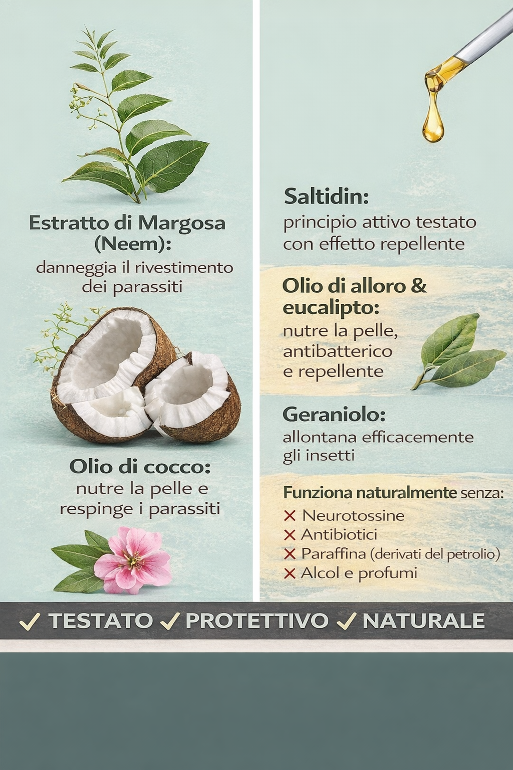 Zspray per cani contro zecche, pulci, acari e zanzare - immagine 4