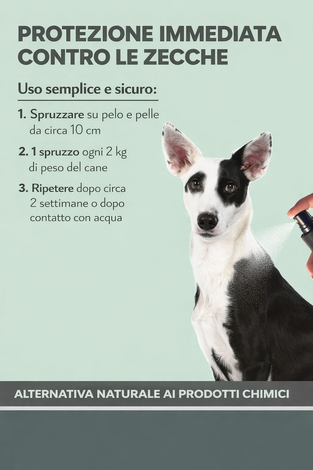 Zspray per cani contro zecche, pulci, acari e zanzare - immagine 6