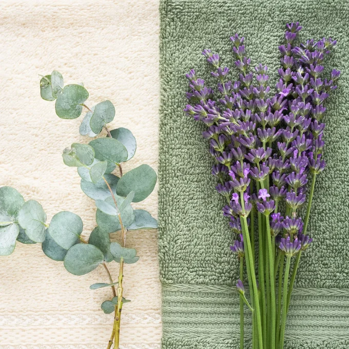 La candela che diventa pianta - Cocco, eucalipto e lavanda - immagine 5