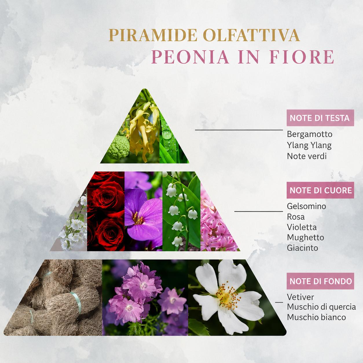 Fragranza Ambiente Peonia in Fiore – Logevy Firenze 1965 (100ml, 250ml, 500ml, 1000ml, 3000ml) - immagine 5