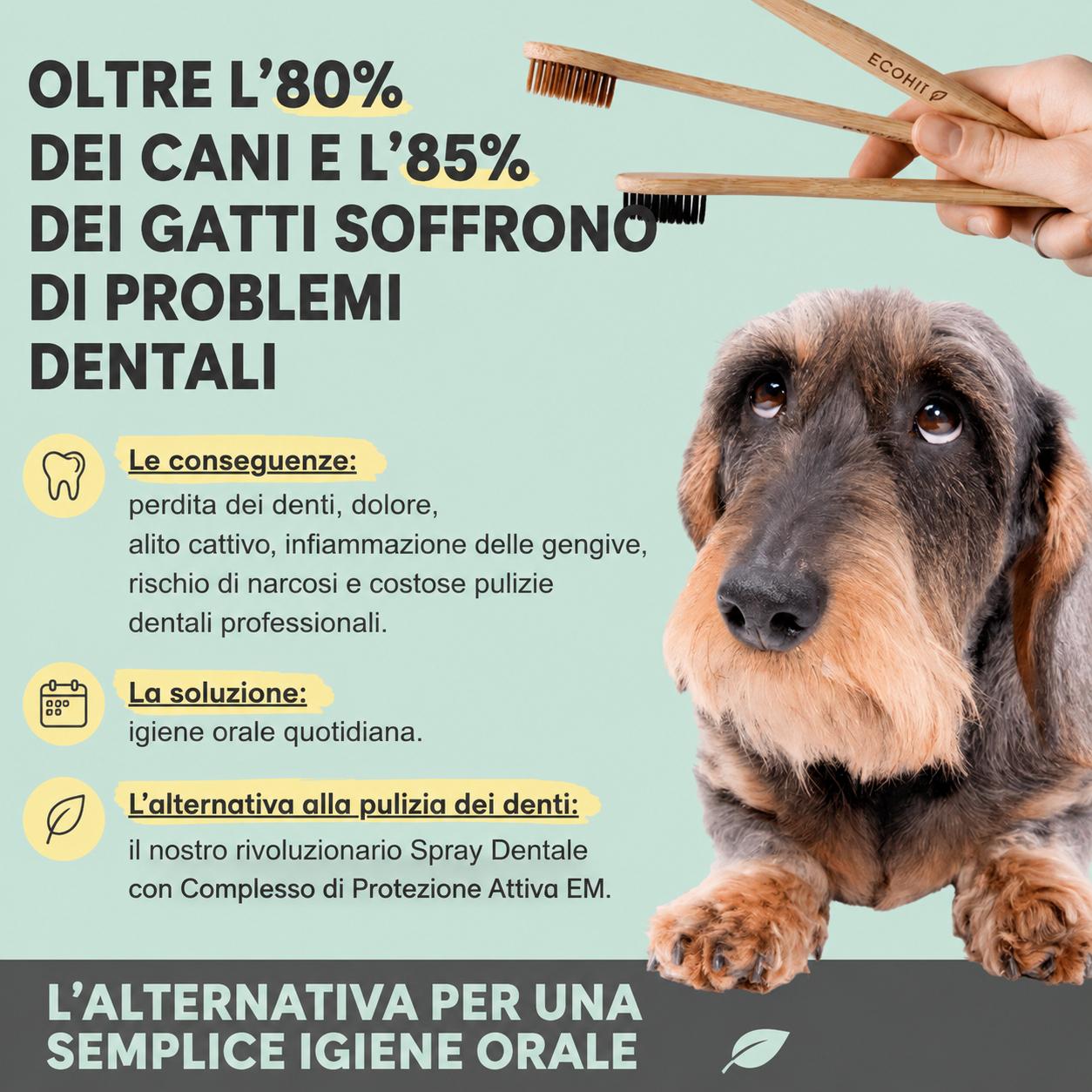 Spray Dentale Naturale per Cani e Gatti - immagine 3