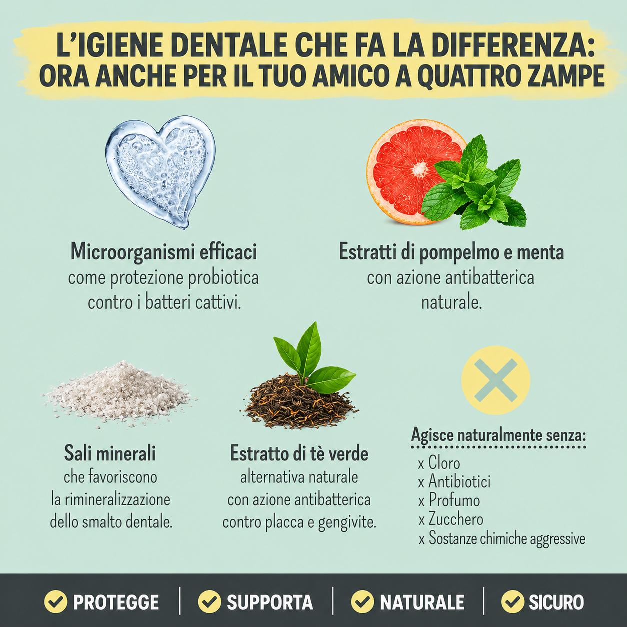 Spray Dentale Naturale per Cani e Gatti - immagine 4